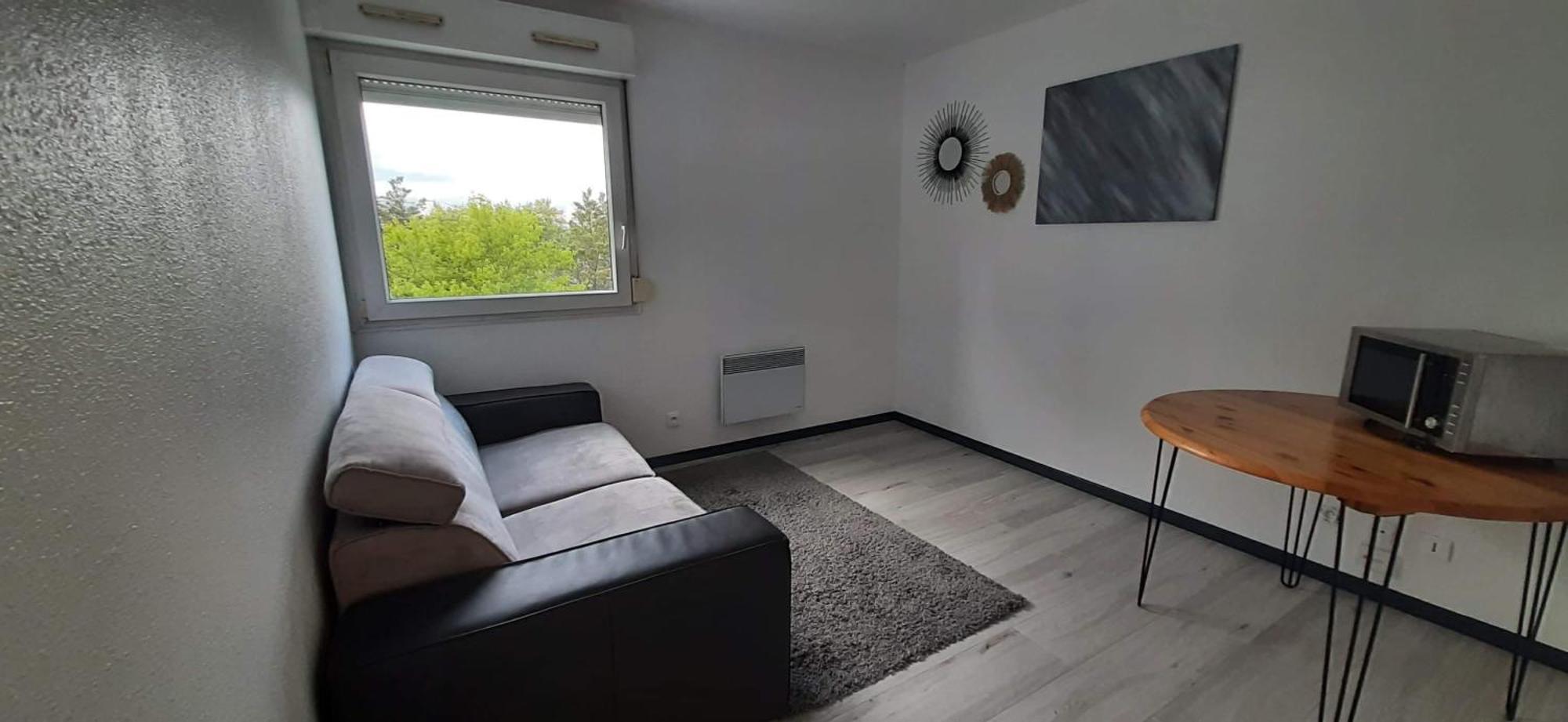 Апартаменти Studio Cosy Ліон Екстер'єр фото